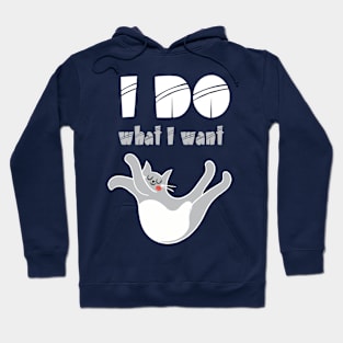 I Do What I Want Hoodie